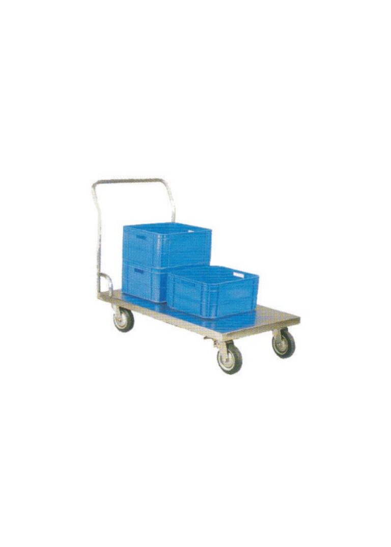 Platform Arabası MT170X